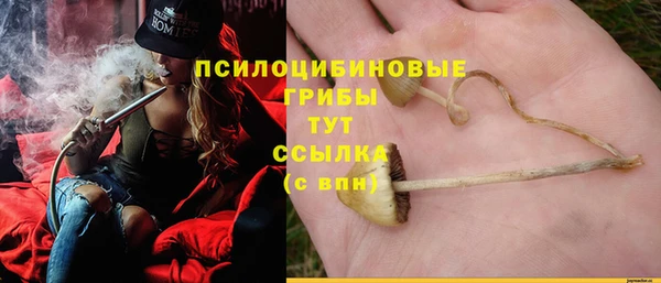твердый Бородино