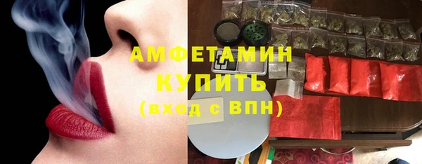 твердый Бородино