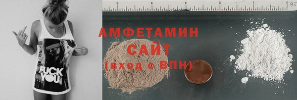 твердый Бородино