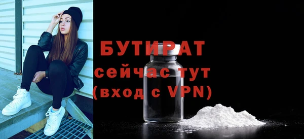твердый Бородино