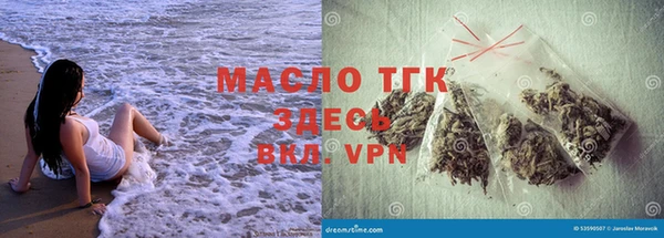 твердый Бородино