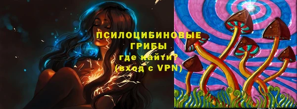 гашик Бугульма